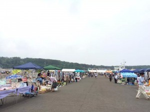 IMG_466967167585826
