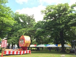 IMG_631537221436890
