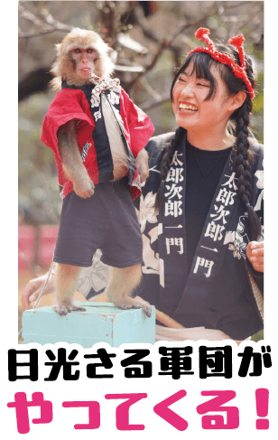 さる軍団